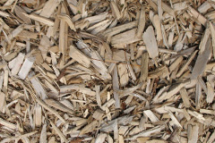 biomass boilers Llaithddu
